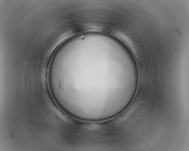 X0000113911235200910081843