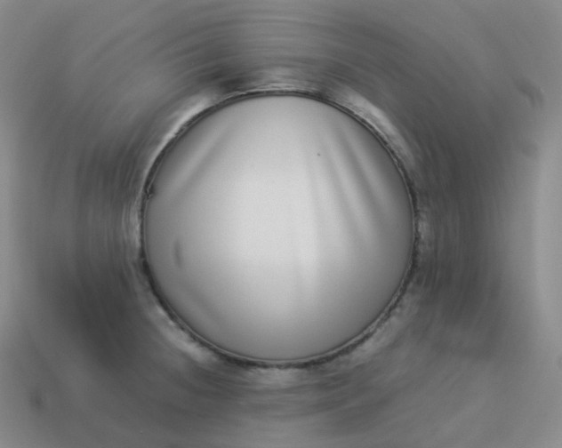 X0000113911236200910081843