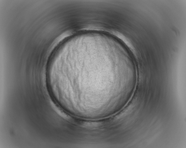 X0000113911237200910081843