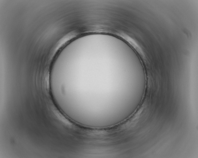 X0000113911238200910081843