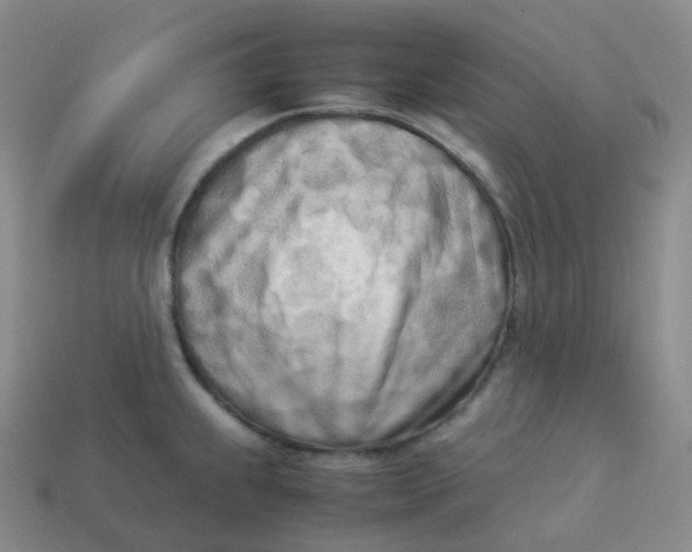 X0000113911239200910081843