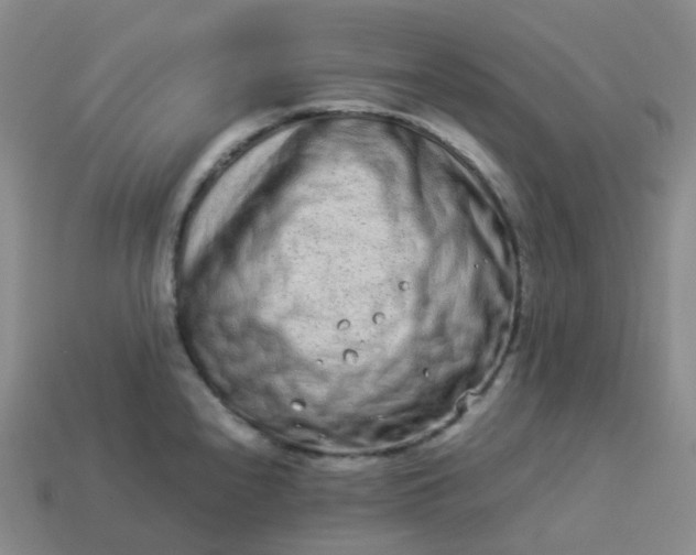 X0000113911240200910081843