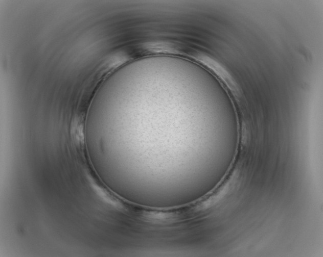 X0000113911241200910081843