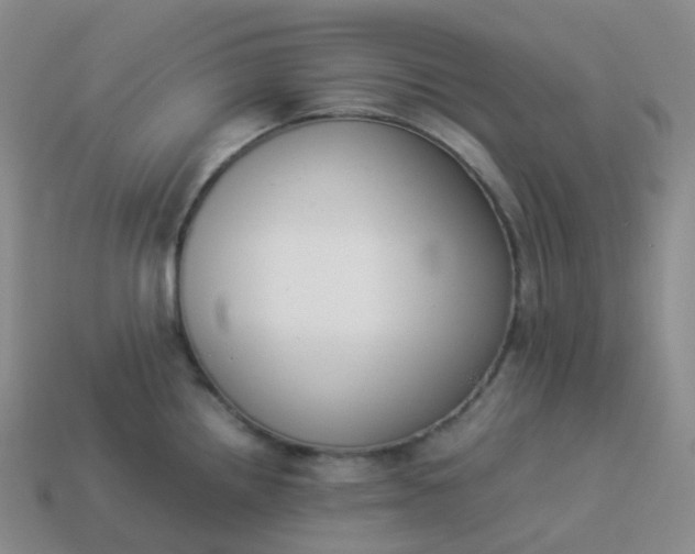 X0000113911242200910081843