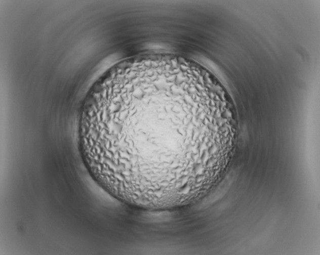 X0000113911243200910081843