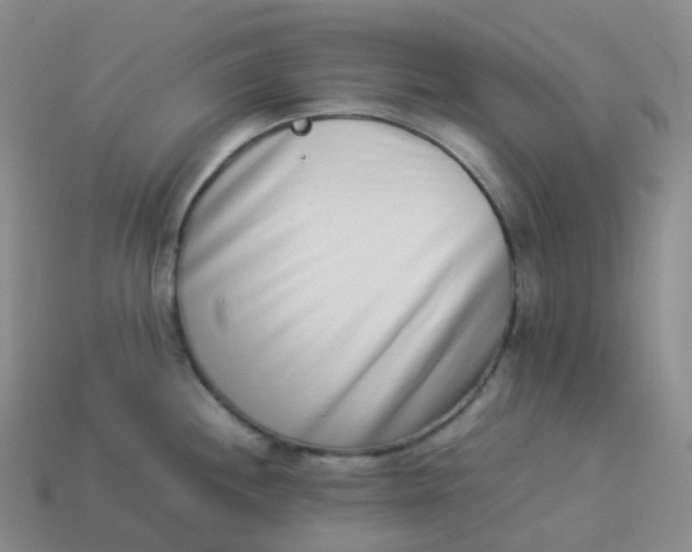 X0000113911244200910081843