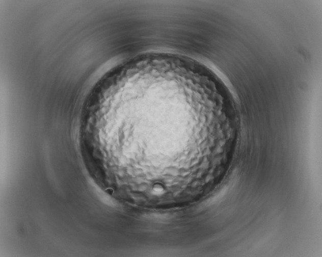 X0000113911245200910081843