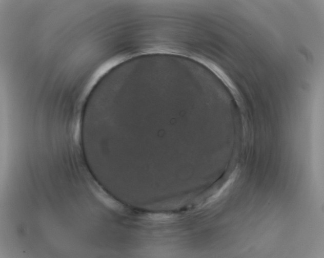 X0000113911246200910081843