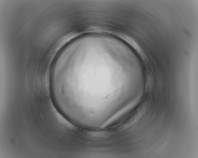 X0000113911247200910081843