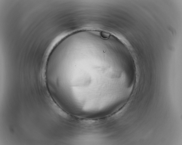 X0000113911248200910081843