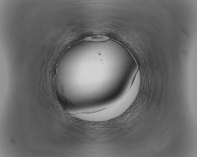 X0000113911249200910081842