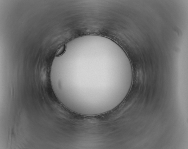 X0000113911250200910081842