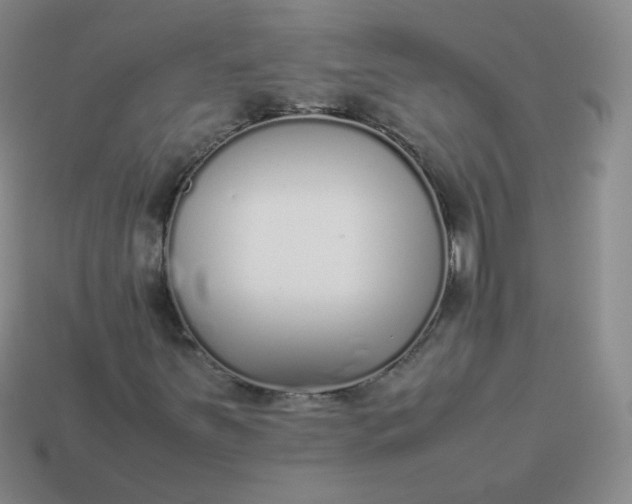 X0000113911251200910081842