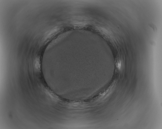 X0000113911252200910081842