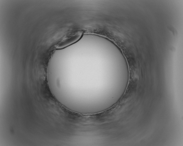 X0000113911253200910081842