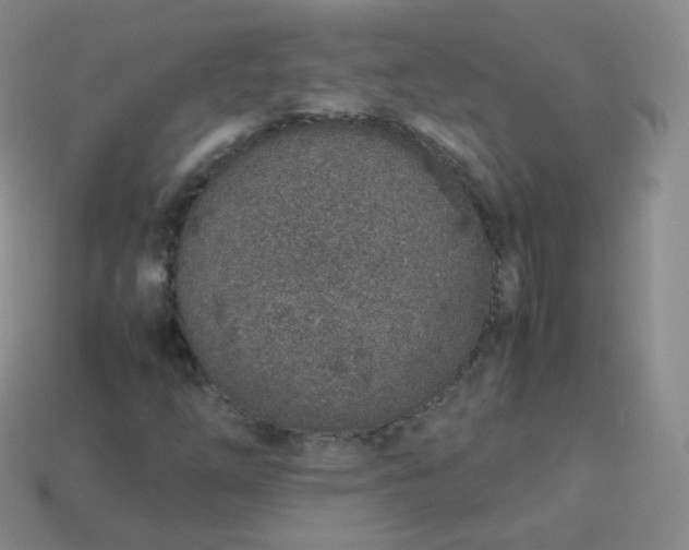 X0000113911254200910081842