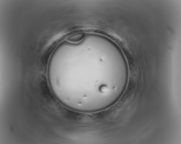 X0000113911255200910081842