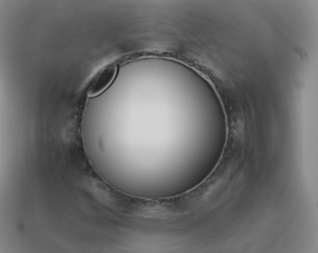 X0000113911256200910081842