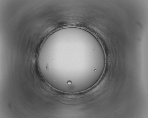 X0000113911257200910081842