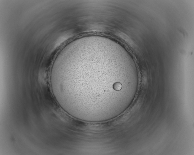 X0000113911258200910081842