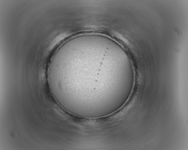 X0000113911259200910081842