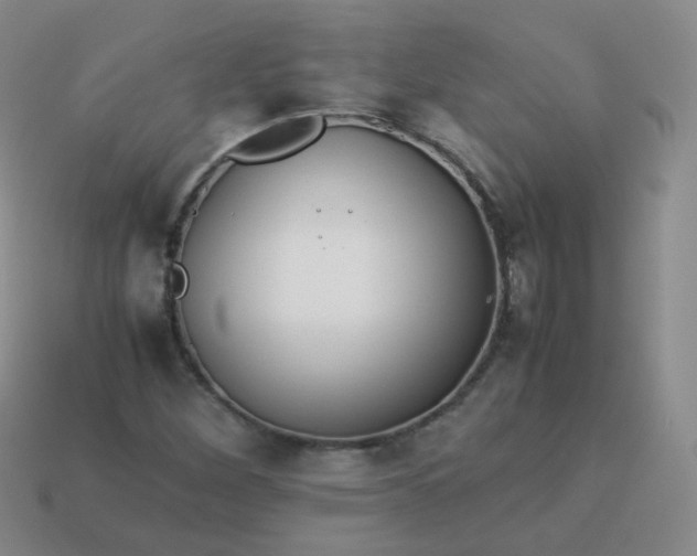 X0000113911260200910081842