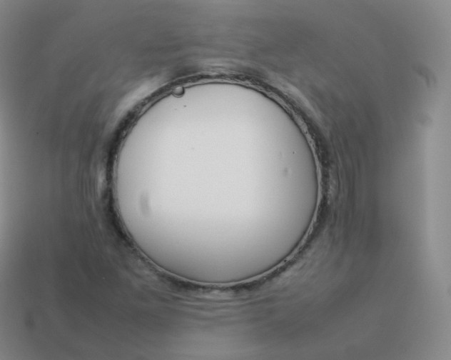 X0000113911261200910081842