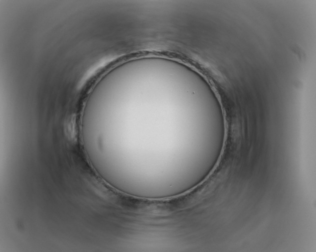 X0000113911262200910081842