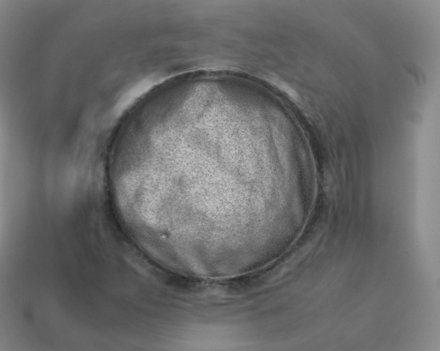 X0000113911263200910081842