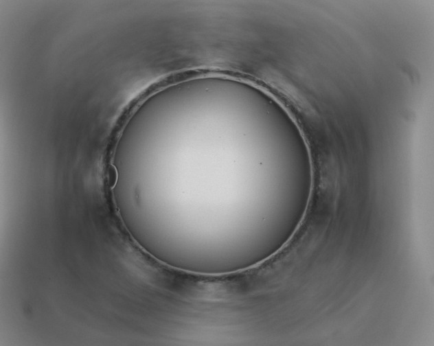 X0000113911264200910081842