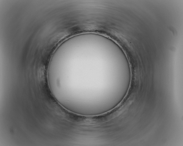 X0000113911265200910081842