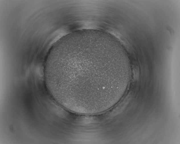 X0000113911266200910081842