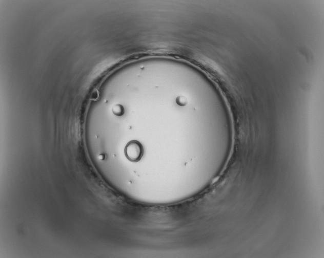 X0000113911267200910081842