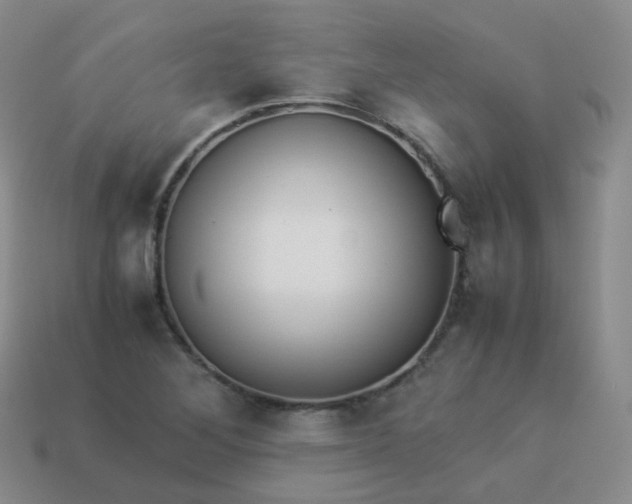 X0000113911268200910081842