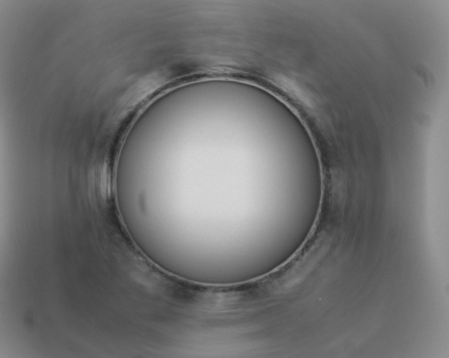 X0000113911269200910081842