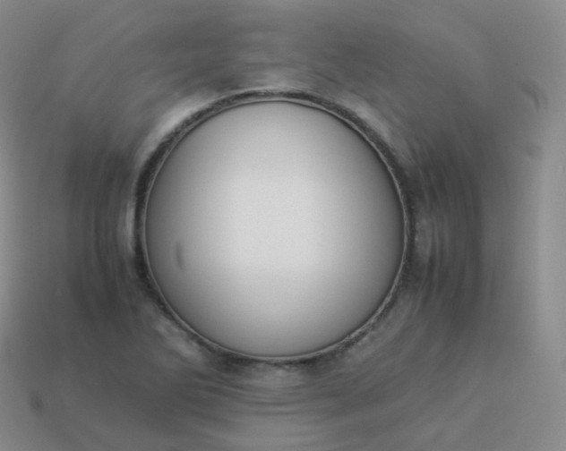 X0000113911270200910081842