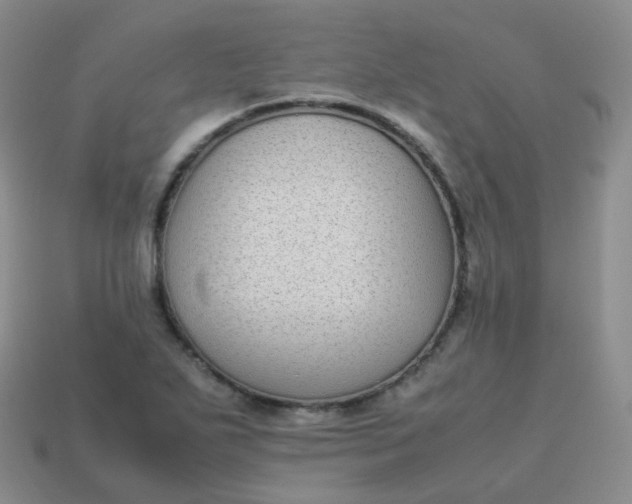 X0000113911271200910081842