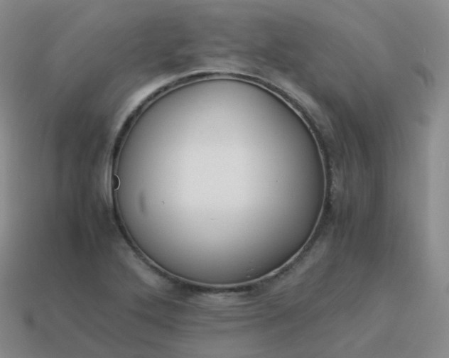 X0000113911272200910081842