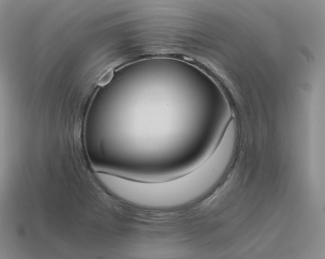 X0000113911273200910081842