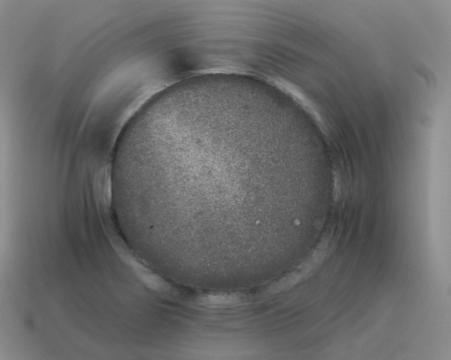 X0000113911274200910081842