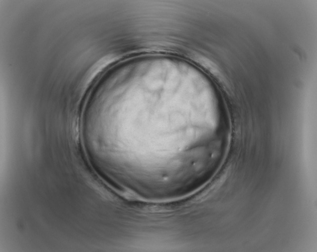 X0000113911275200910081842