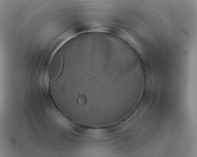 X0000113911276200910081842