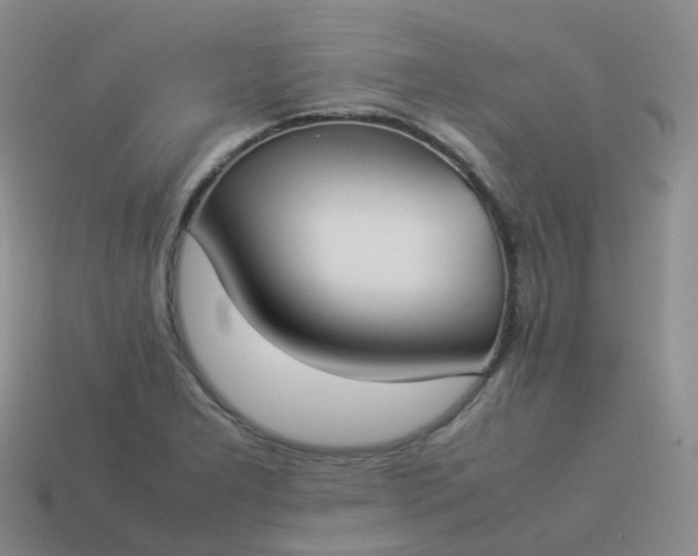 X0000113911277200910081842