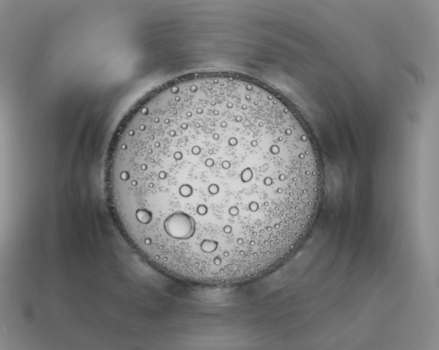 X0000113911278200910081842