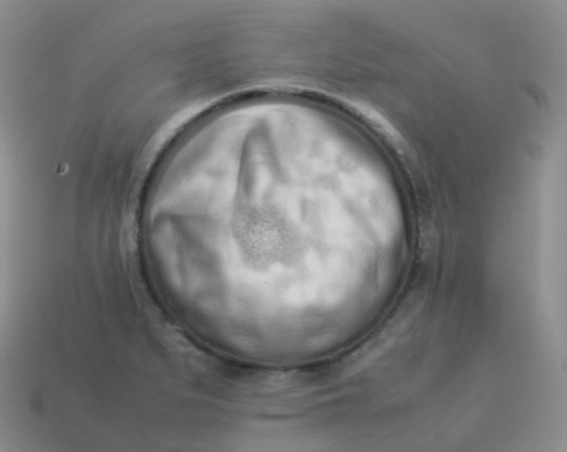 X0000113911279200910081842