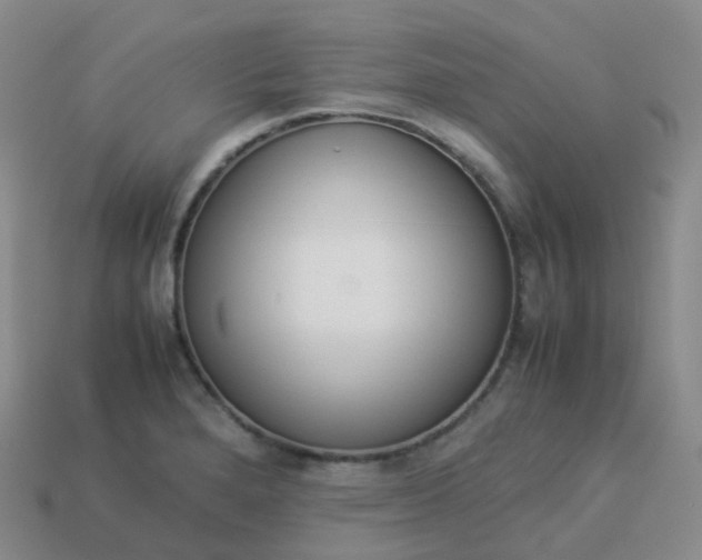 X0000113911280200910081842