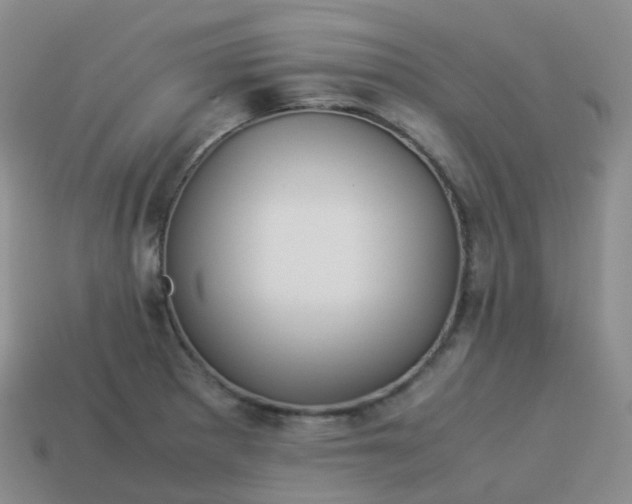 X0000113911281200910081842