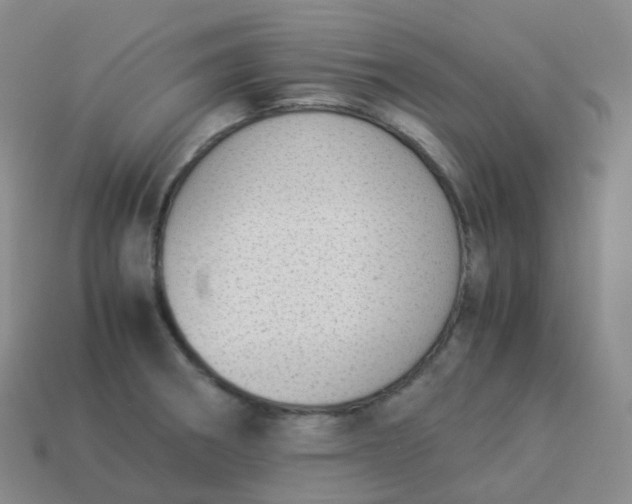 X0000113911282200910081842