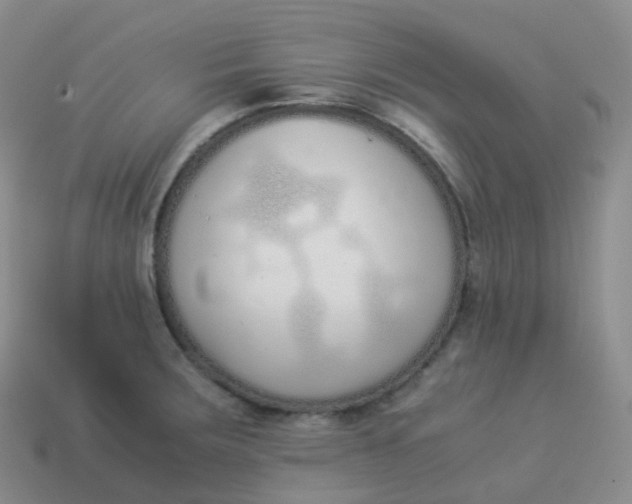 X0000113911283200910081842