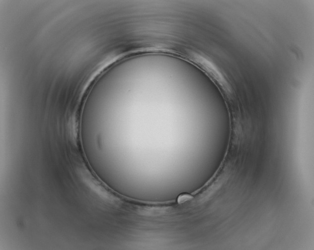 X0000113911284200910081842